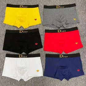 Dior Underwear-0286  